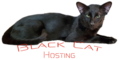 Black Cat Hosting Logo
